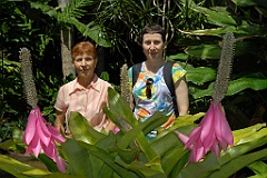 0219 Cairns Botanic Gardens